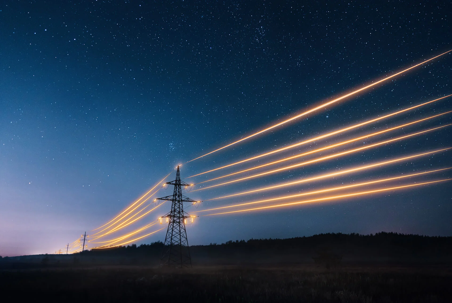 Fortune 250 energy and utility case study