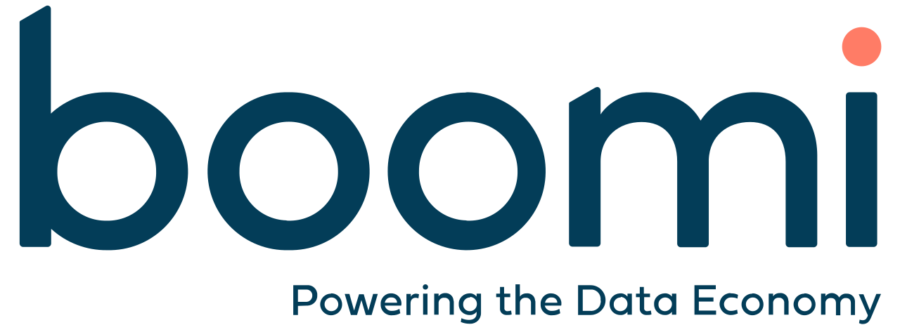 Boomi partner